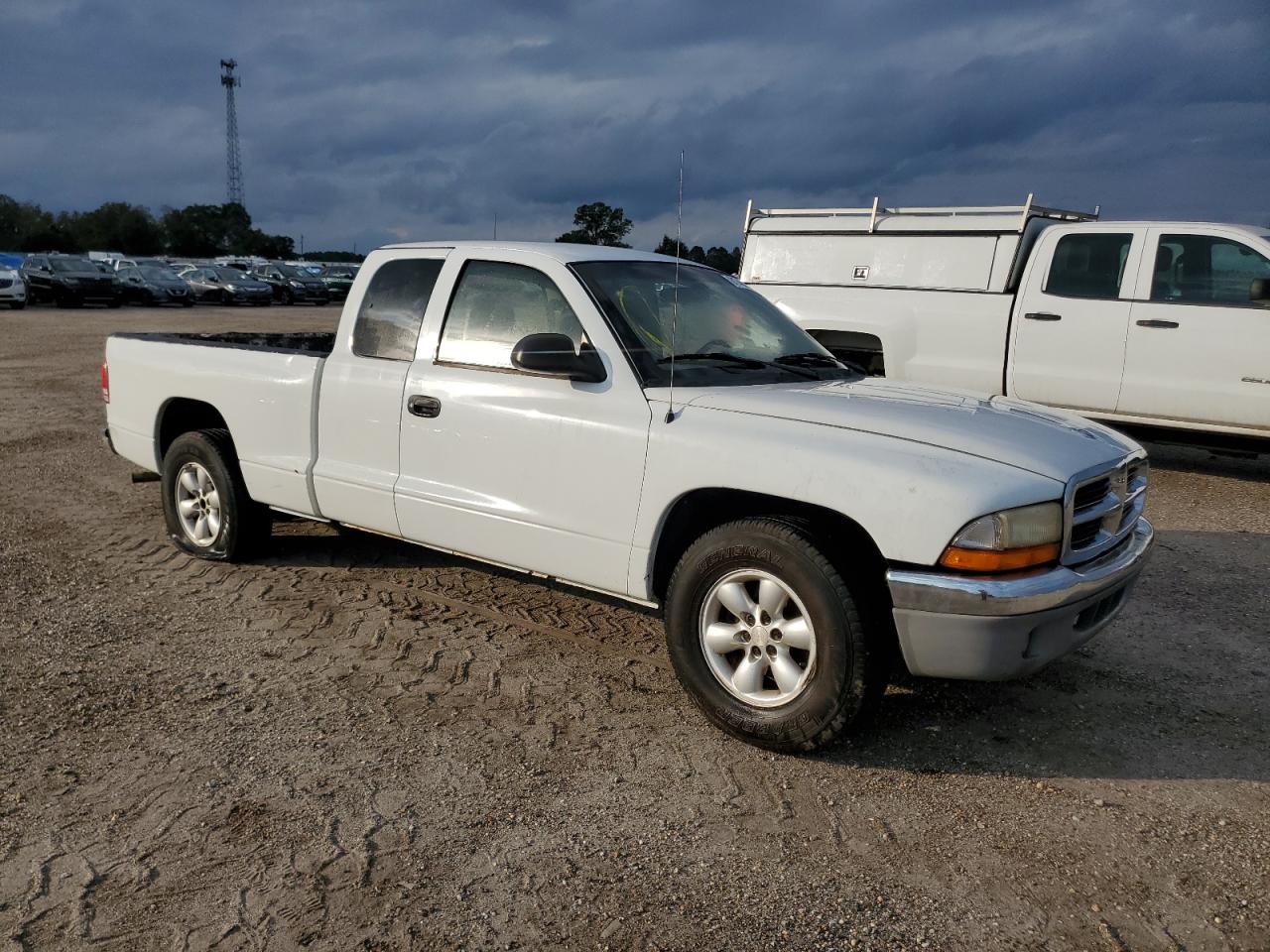 Lot #3006546808 2004 DODGE DAKOTA SLT