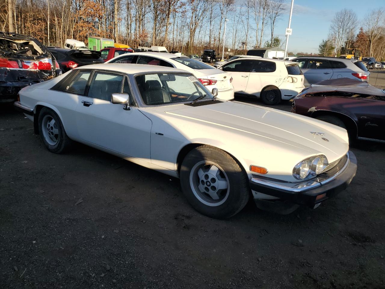 Lot #2993840668 1982 JAGUAR XJS