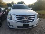 CADILLAC ESCALADE P photo