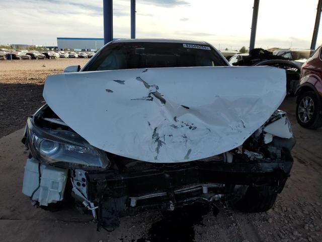 2016 TOYOTA CAMRY LE - 4T1BF1FKXGU546678