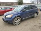 HONDA CR-V EX photo