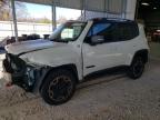 Lot #3024896377 2015 JEEP RENEGADE T