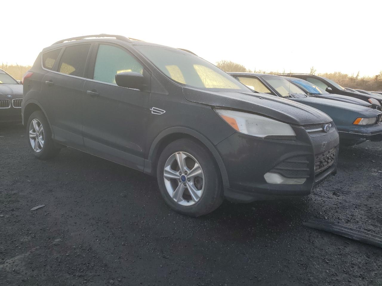 Lot #3008294190 2013 FORD ESCAPE SE