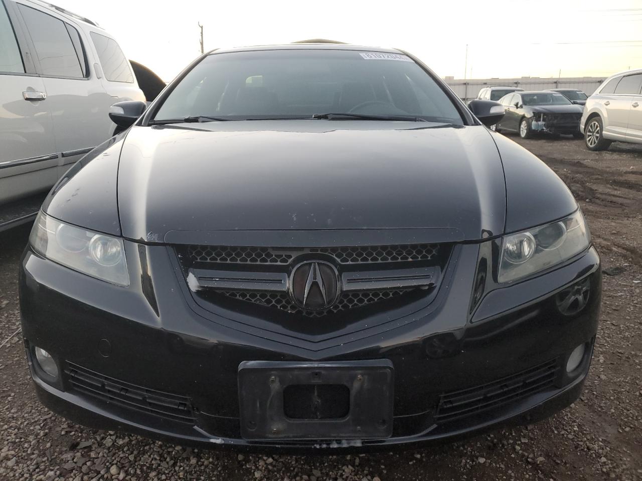 Lot #3024841355 2008 ACURA TL TYPE S