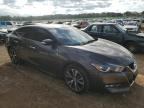 Lot #3006860615 2016 NISSAN MAXIMA 3.5