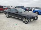 Lot #2965522202 2005 FORD MUSTANG