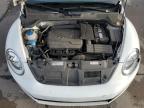 Lot #3023076095 2016 VOLKSWAGEN BEETLE 1.8