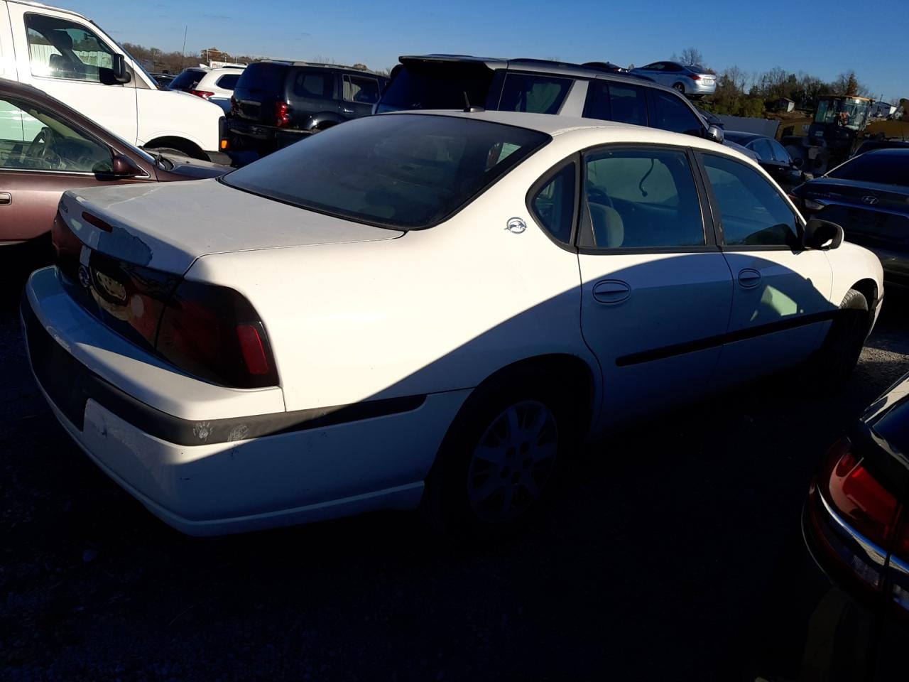 Lot #2989025524 2005 CHEVROLET IMPALA