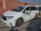 2023 HONDA ODYSSEY TO - 5FNRL6H84PB015902