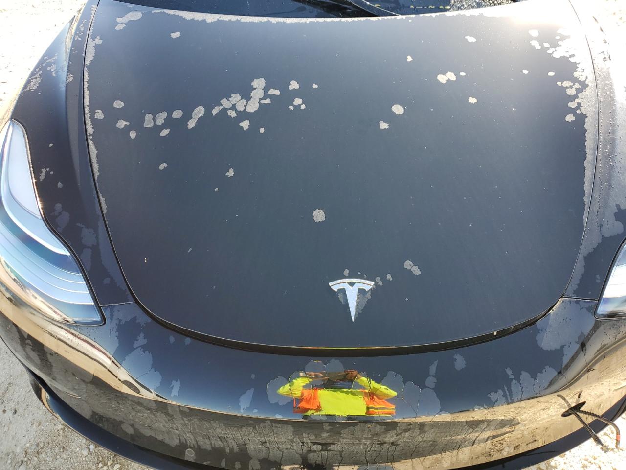 Lot #3023856838 2019 TESLA MODEL 3