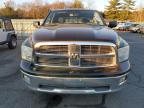 DODGE RAM 1500 photo