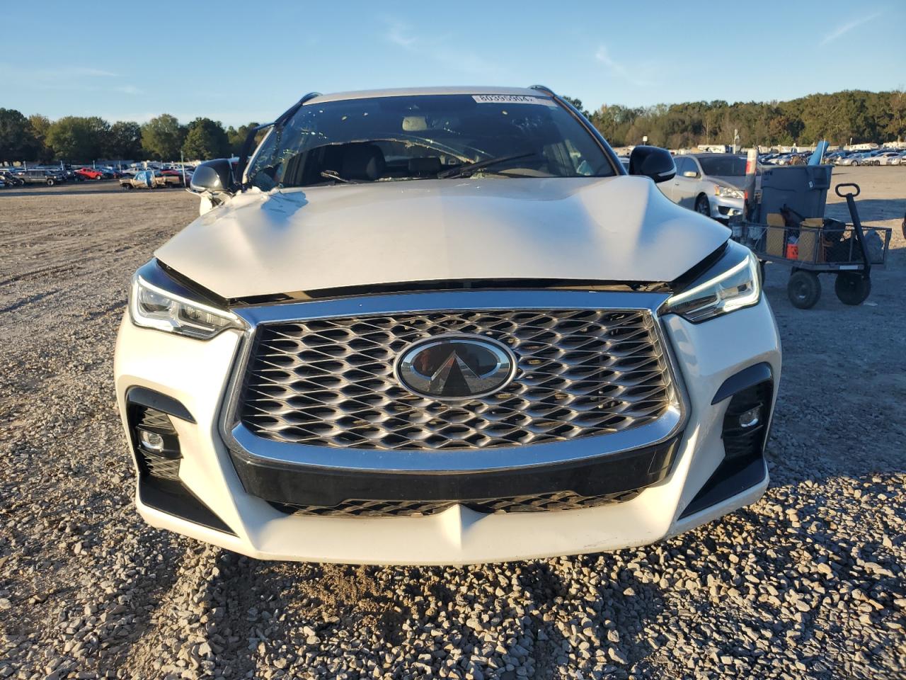 Lot #2991607017 2023 INFINITI QX55 LUXE