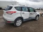 Lot #3024743268 2014 FORD ESCAPE S