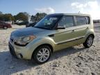 KIA SOUL + photo