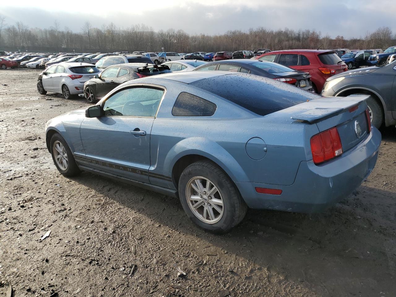 Lot #2969590660 2007 FORD MUSTANG