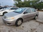 Lot #3006701443 2003 TOYOTA COROLLA CE