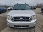 Lot #3023725919 2010 FORD ESCAPE XLT