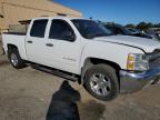 Lot #3023942242 2013 CHEVROLET SILVERADO