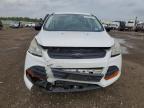 Lot #3024743268 2014 FORD ESCAPE S