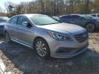 Lot #3024464524 2017 HYUNDAI SONATA SPO