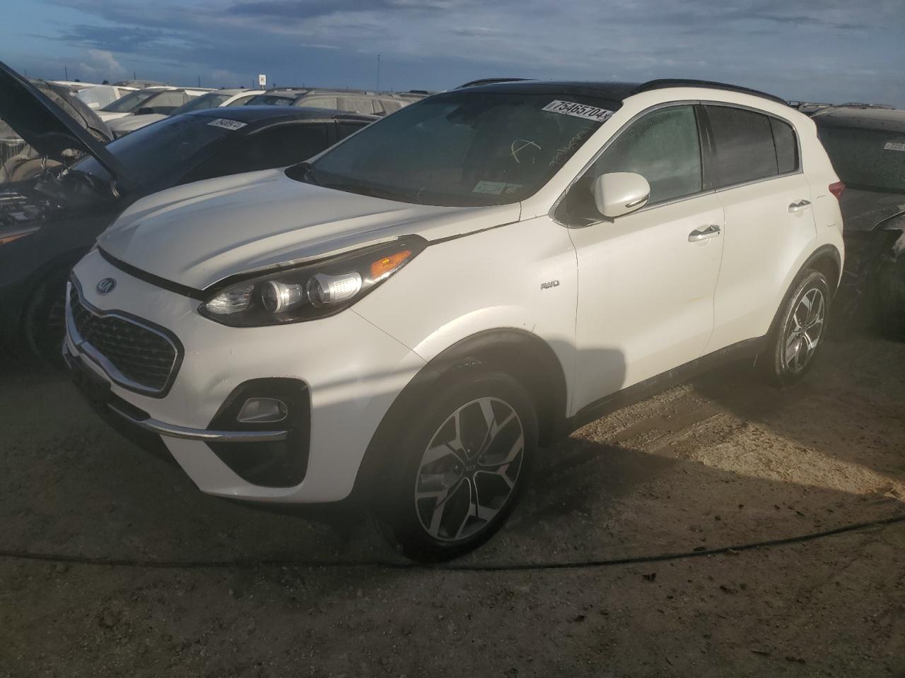 Lot #2972460886 2022 KIA SPORTAGE E