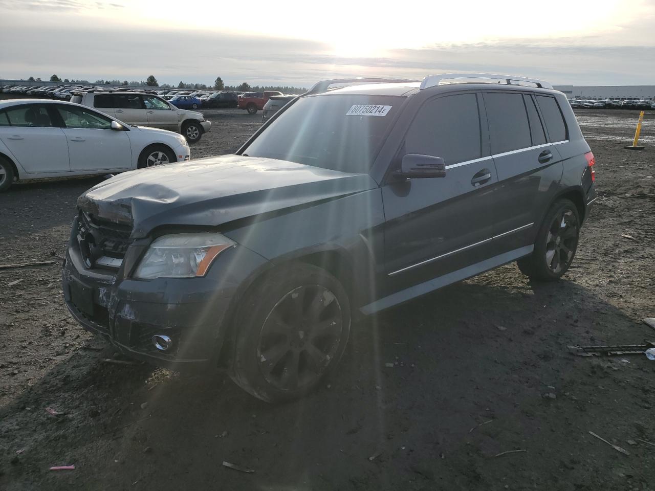 Lot #3008780109 2010 MERCEDES-BENZ GLK 350 4M