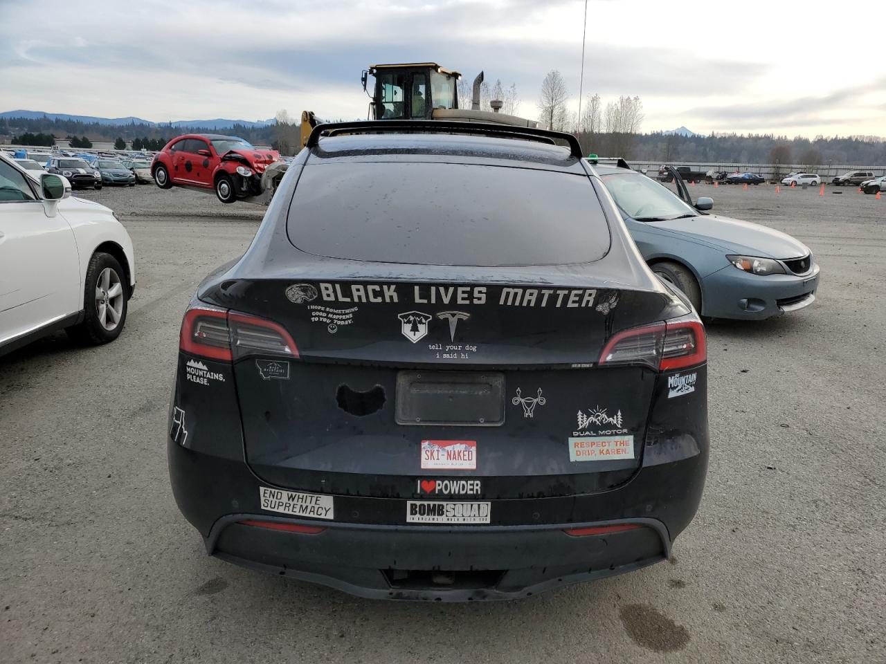 Lot #2989373671 2021 TESLA MODEL Y