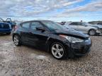 Lot #3024731284 2013 HYUNDAI VELOSTER