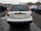 HONDA CR-V EX photo