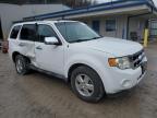 Lot #3024651594 2011 FORD ESCAPE XLT