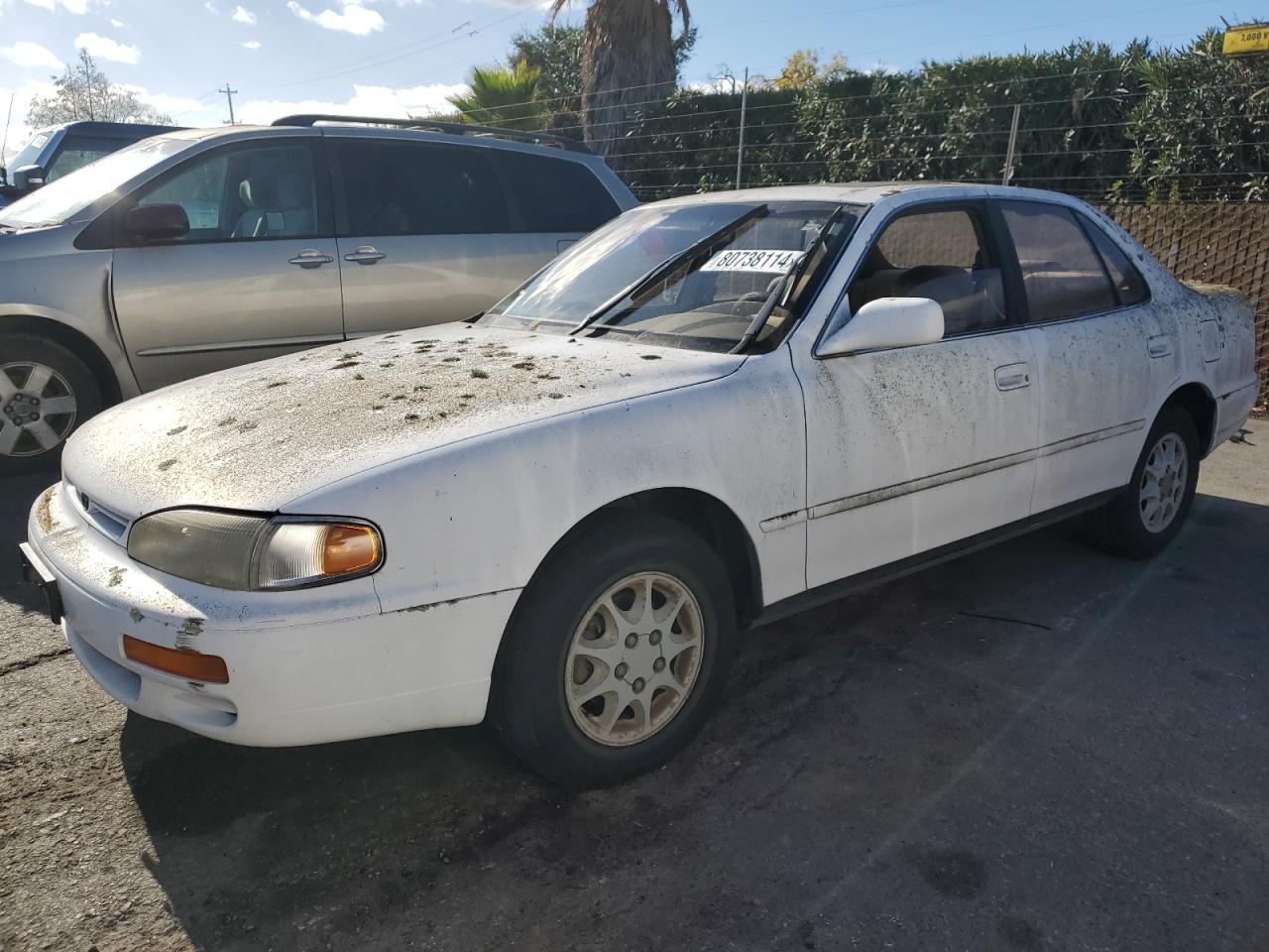 Lot #2996121480 1995 TOYOTA CAMRY LE