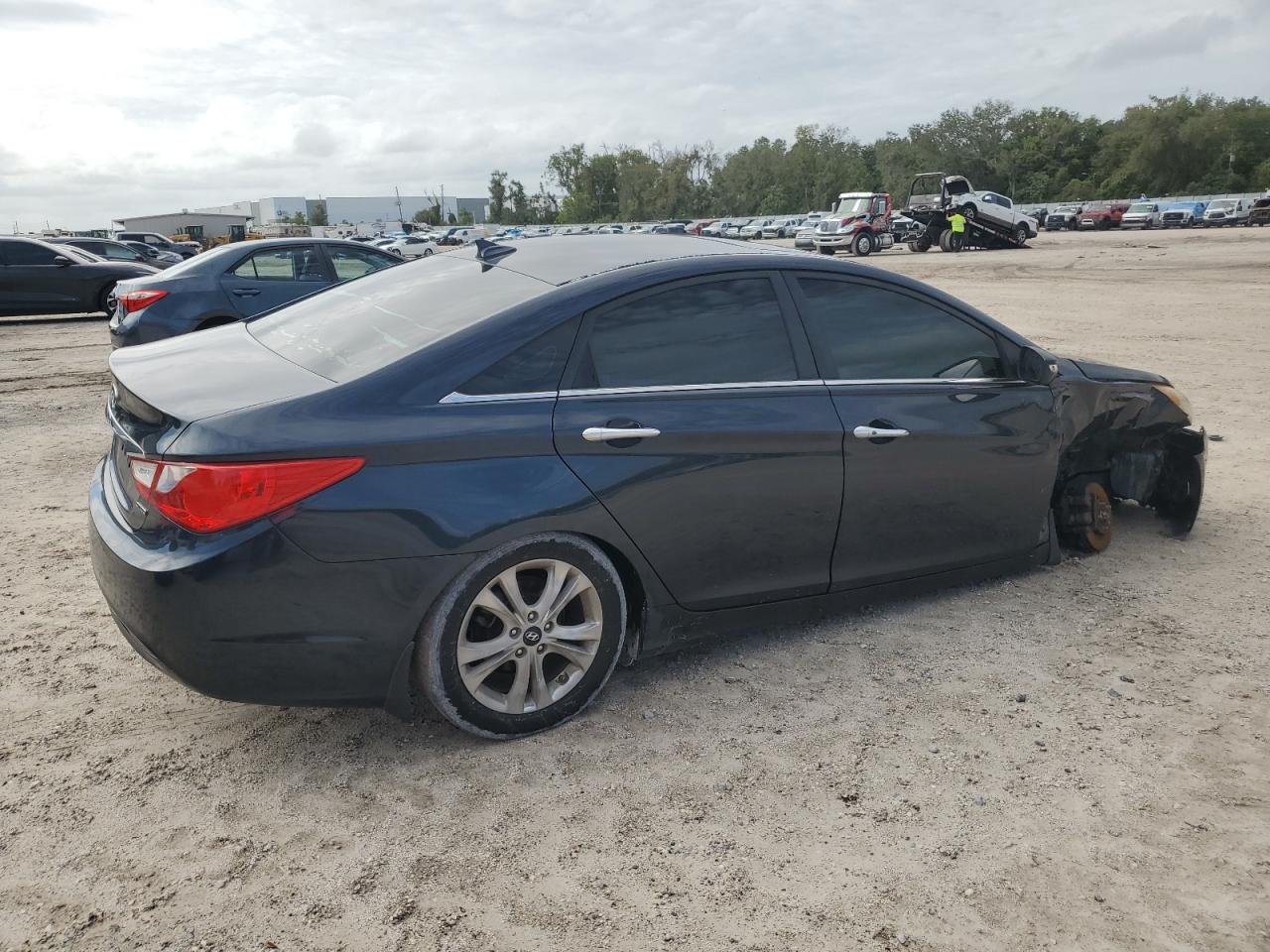 Lot #2959793901 2013 HYUNDAI SONATA SE