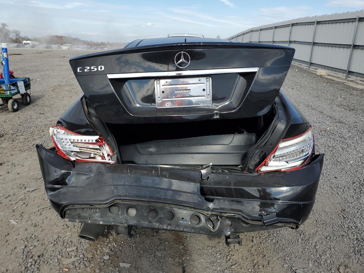 MERCEDES-BENZ C-CLASS 250