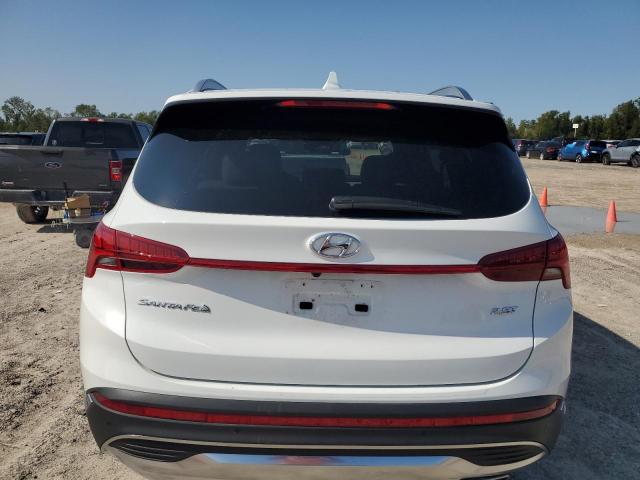2023 HYUNDAI SANTA FE L - 5NMS44AL1PH559158