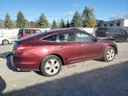 HONDA CROSSTOUR photo