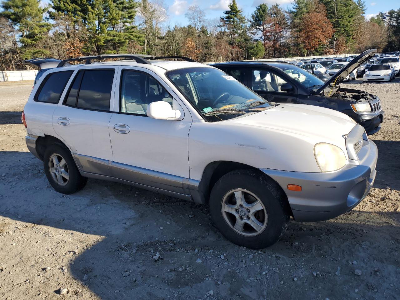 Lot #2974312464 2004 HYUNDAI SANTA FE G