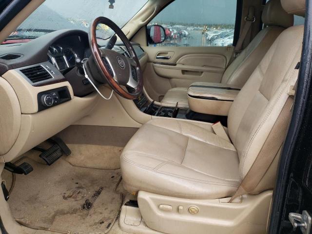 2010 CADILLAC ESCALADE P - 1GYUCCEF4AR287972