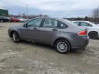 Lot #3024270856 2010 FORD FOCUS SE