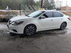 2017 NISSAN ALTIMA 2.5 - 1N4AL3AP6HC162949