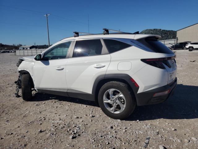 2023 HYUNDAI TUCSON SEL - 5NMJBCAE9PH282322