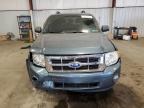 FORD ESCAPE XLT photo