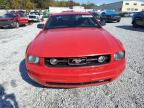 FORD MUSTANG photo