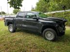 Lot #2996024375 2023 CHEVROLET COLORADO