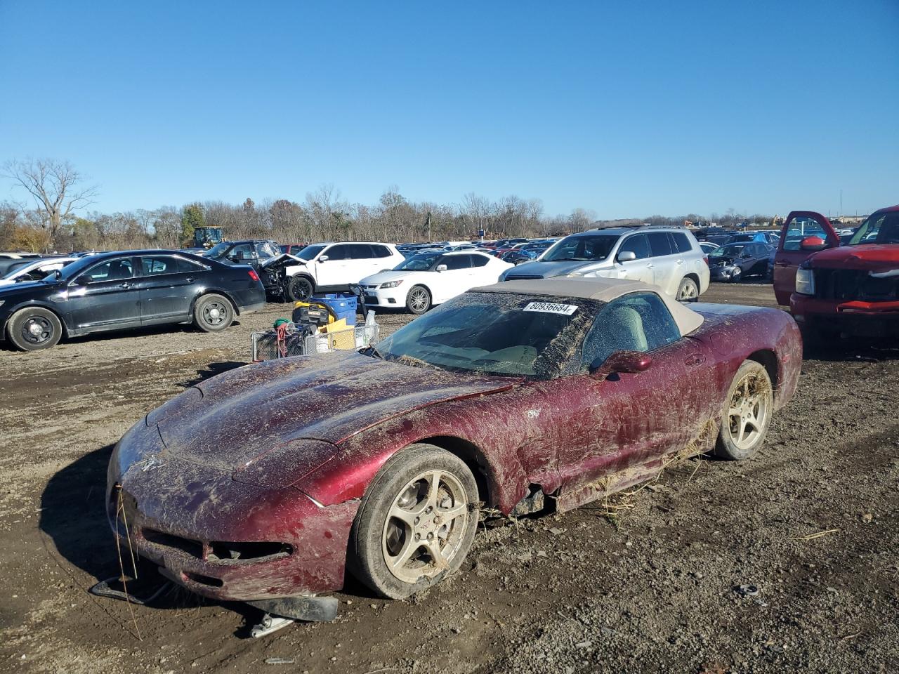 Lot #3029386679 2003 CHEVROLET CORVETTE