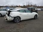 Lot #3025210620 2017 NISSAN MAXIMA 3.5