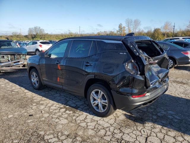 VIN 3GKALMEG7RL385893 2024 GMC TERRAIN no.2