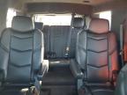 CADILLAC ESCALADE P photo