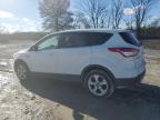 Lot #3023621262 2016 FORD ESCAPE SE