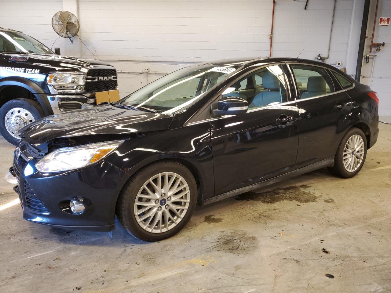 Lot #3020924813 2012 FORD FOCUS SEL