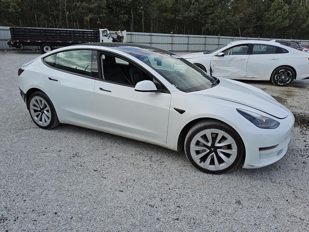 Lot #2991303117 2023 TESLA MODEL 3